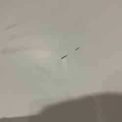 Alternative view of 2ekans (39) Jinko Solar Tiger Neo all black N-Type 425wp folieschade